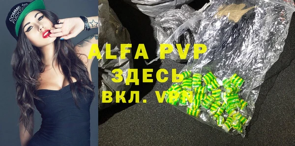spice Богородицк