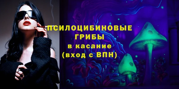 spice Богородицк
