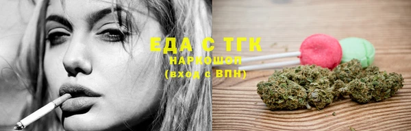 spice Богородицк
