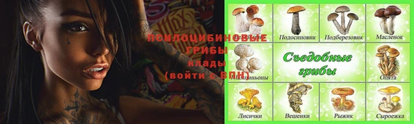 винт Богородск