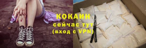 сатива Беломорск