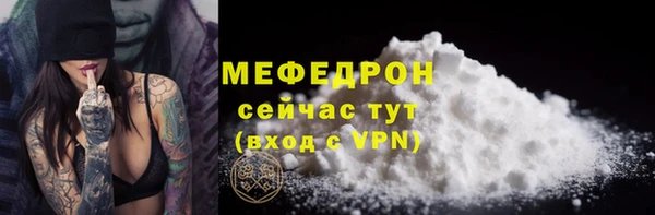сатива Беломорск