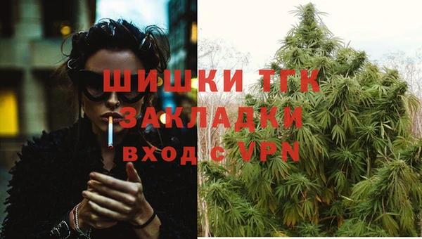 сатива Беломорск