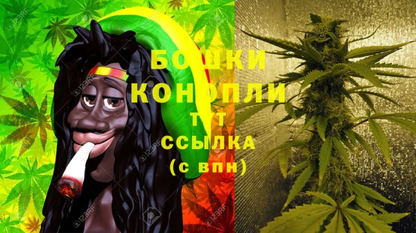 сатива Беломорск
