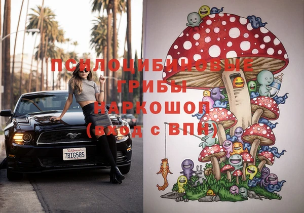 spice Богородицк