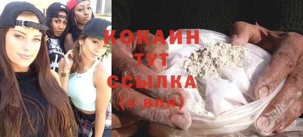 сатива Беломорск