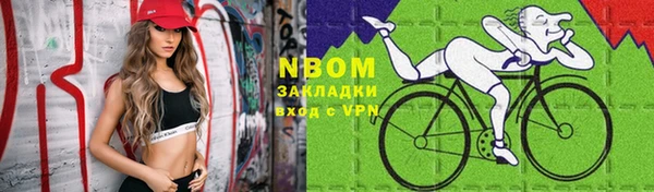 сатива Беломорск