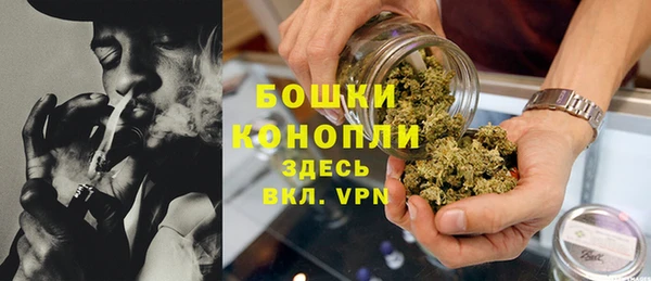 дурь Белокуриха