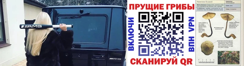 Купить  Ардон  Галлюциногенные грибы ЛСД 