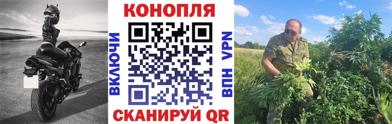 Купить где  Ардон  Конопля гибрид 